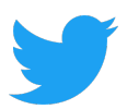 Twitter Logo n